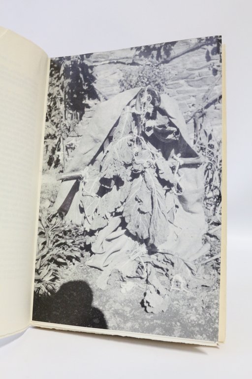 Nouveaux écrits de Rodez, lettres au docteur Ferdière et autres …