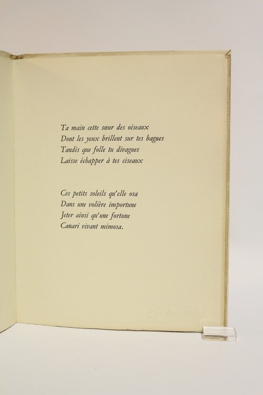 Oiseaux ne copiez personne