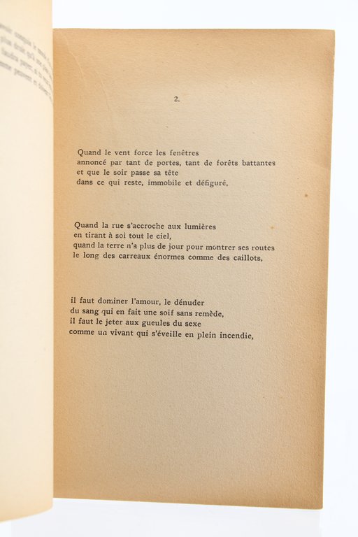 Pas même l'Amour