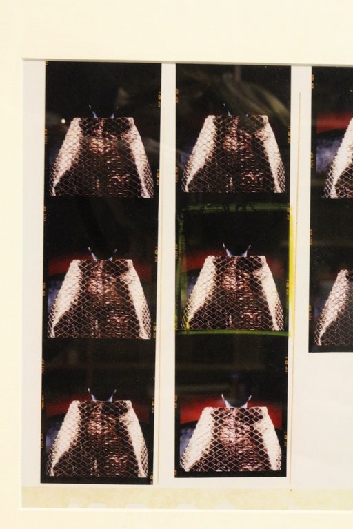 [PHOTOGRAPHIE] Diptyque photographique original de 20 portraits de Michael Jackson …