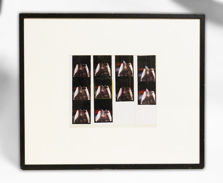 [PHOTOGRAPHIE] Diptyque photographique original de 20 portraits de Michael Jackson …