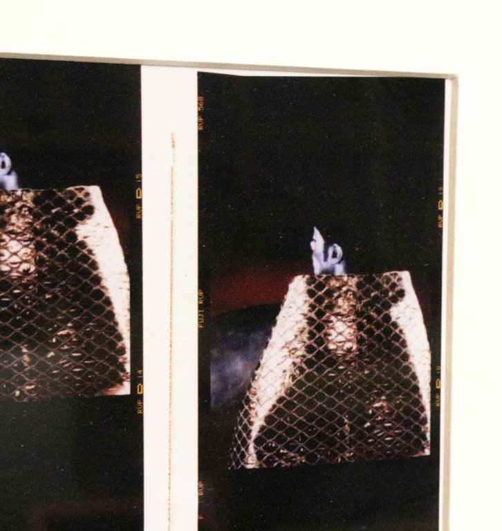 [PHOTOGRAPHIE] Diptyque photographique original de 20 portraits de Michael Jackson …