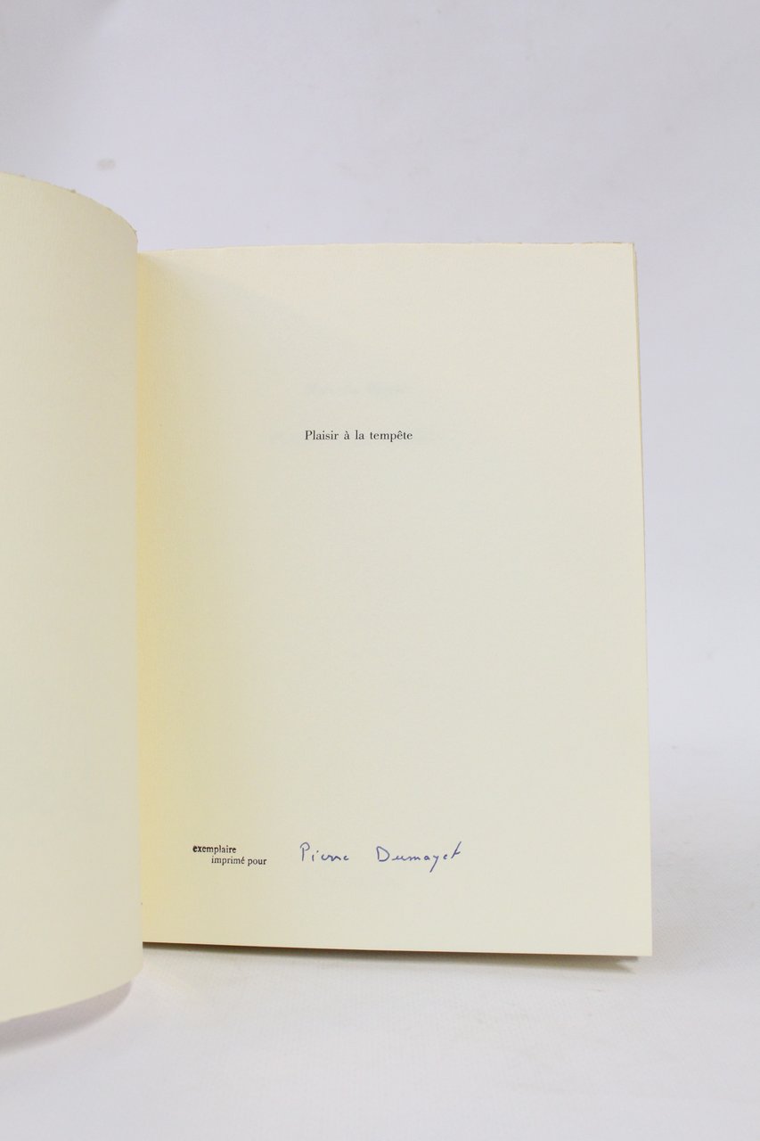 Plaisir à la tempête