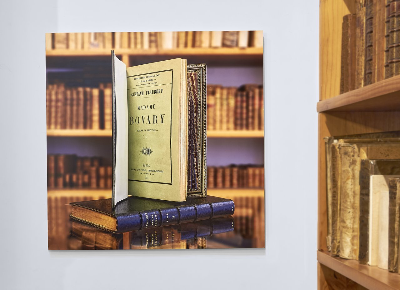 [POUR LA DECORATION] Photographie de l'édition originale de Madame Bovary …