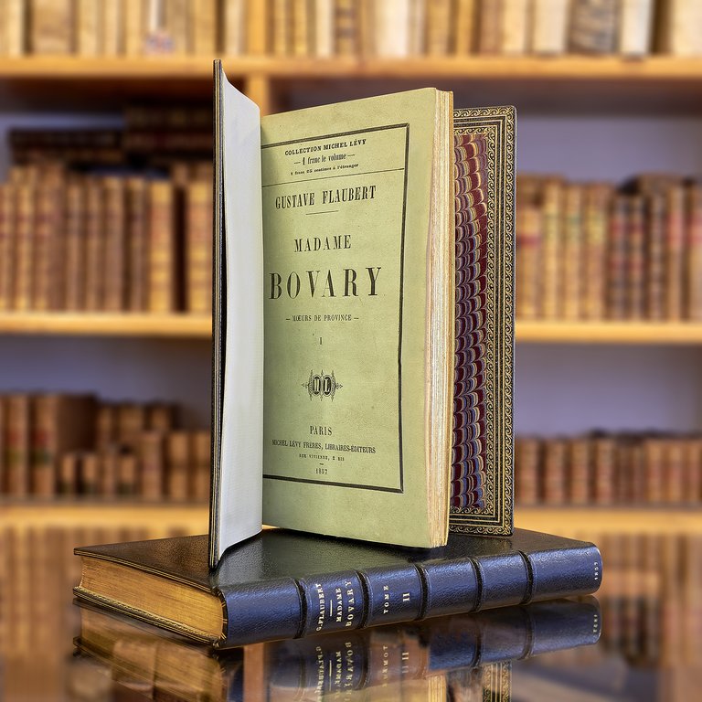[POUR LA DECORATION] Photographie de l'édition originale de Madame Bovary …