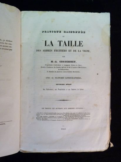 Pratique raisonnée de la taille des arbres fruitiers et de …
