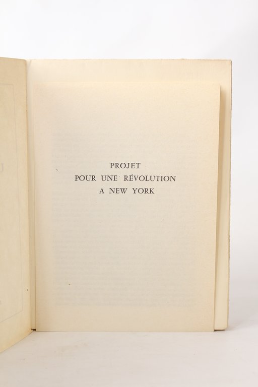 Projet pour une révolution à New York