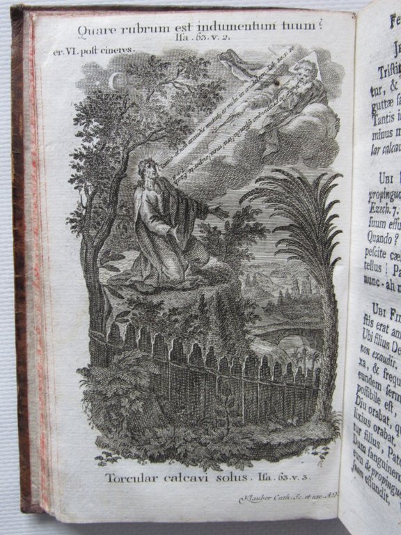 Quadragesima Christo patinti sacra, seu passio domini nostri Jesu Christi