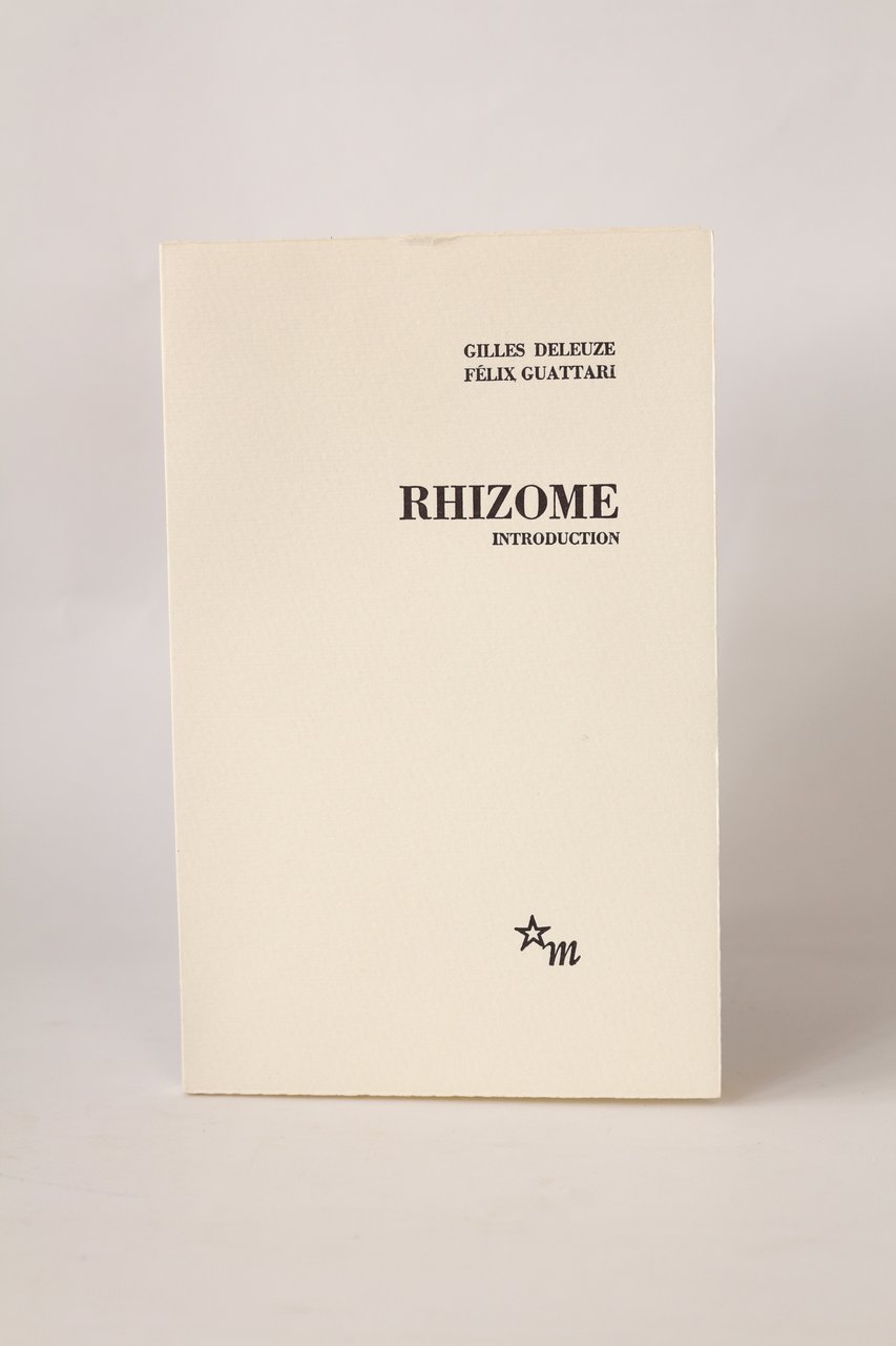 Rhizome