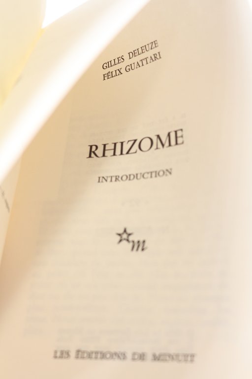 Rhizome