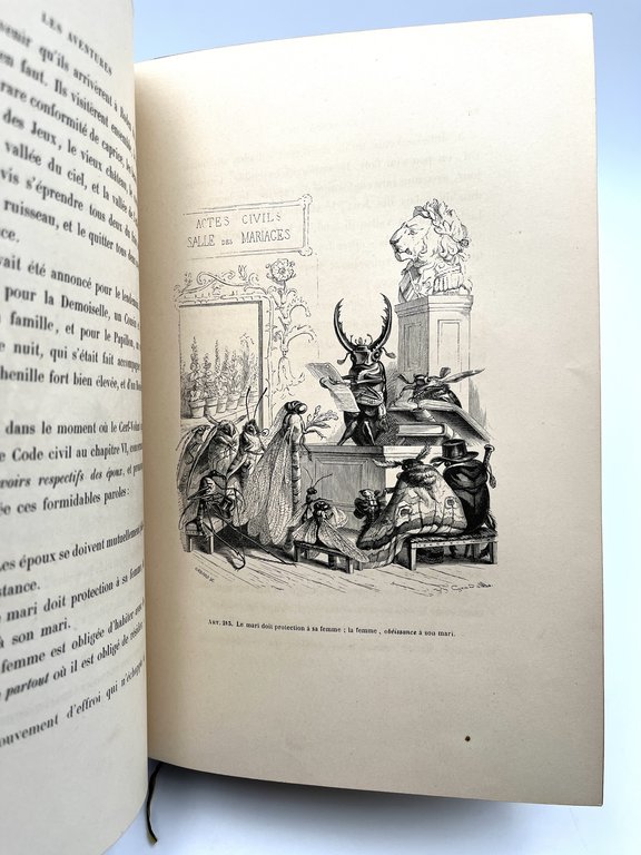 Scènes de la vie privée et publique des animaux