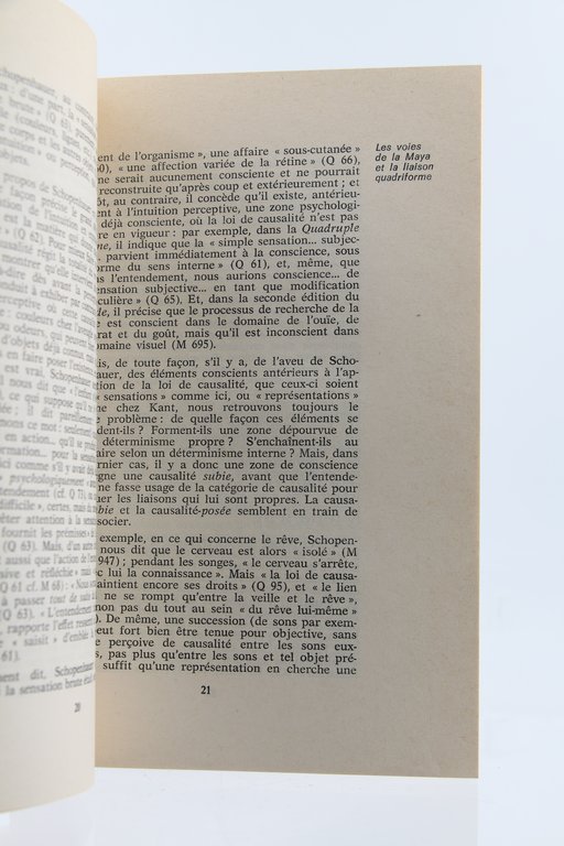 Schopenhauer ou le Tragédien de la Volonté