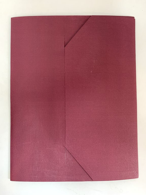 Six dessins en couleurs réalisés pour Le doctorat impromptu de …