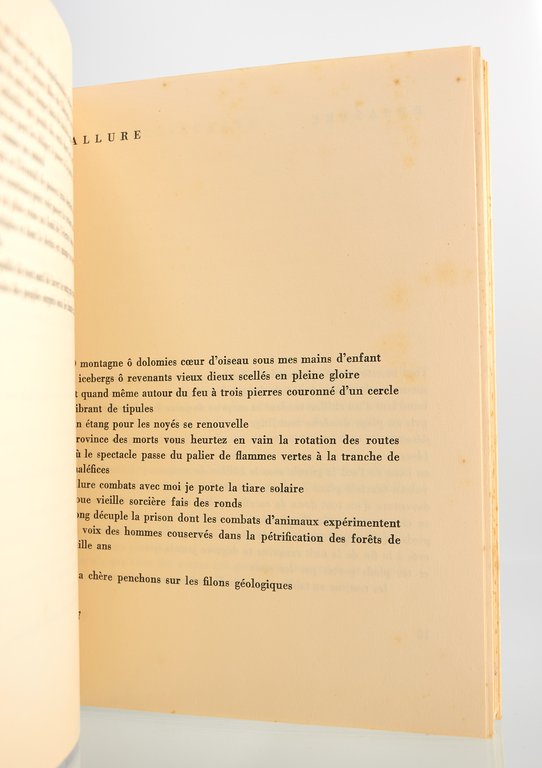 Soleil cou coupé