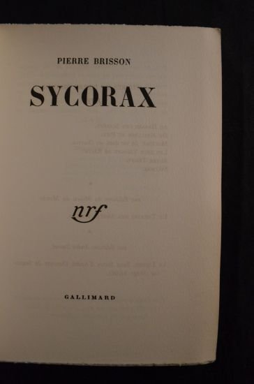 Sycorax