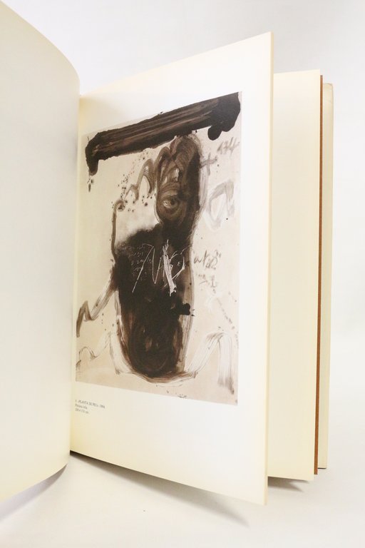Tapies. Pinturas y dibujos 1984