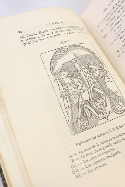 Traité des Hermaphrodits parties génitales, accouchemens des femmes etc, où …