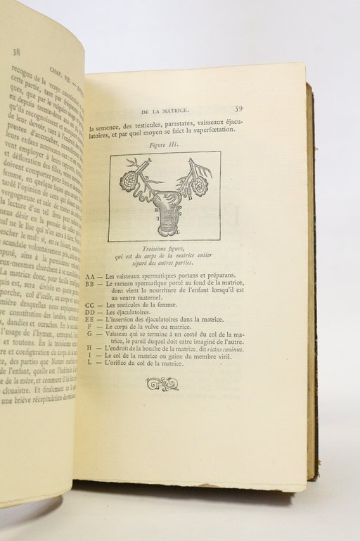 Traité des Hermaphrodits parties génitales, accouchemens des femmes etc, où …