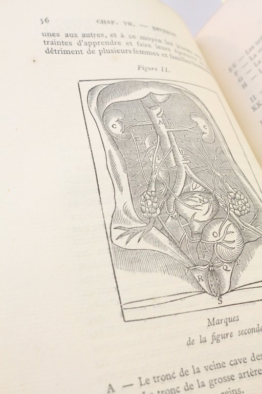 Traité des Hermaphrodits parties génitales, accouchemens des femmes etc, où …
