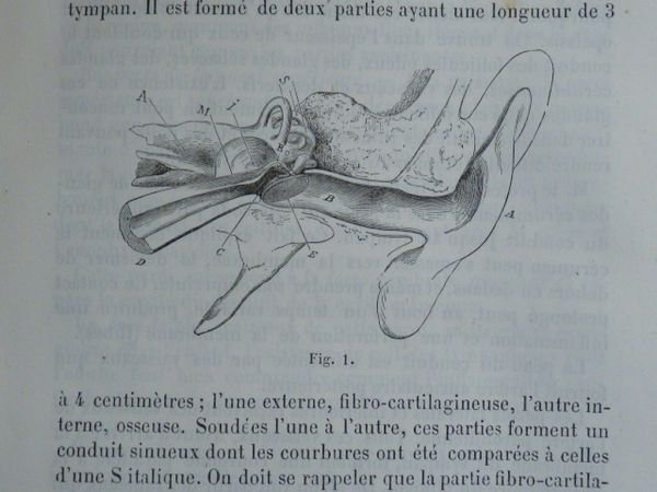 Traité pratique des maladies de l'oreille ou leçons cliniques sur …