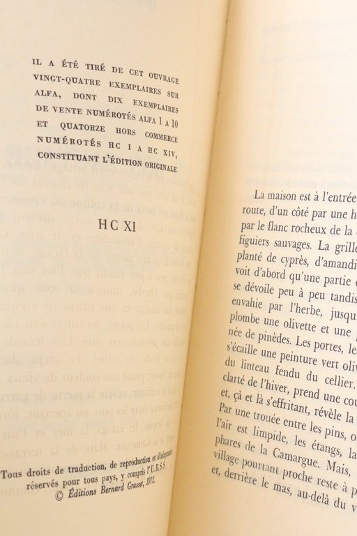Un bon sauvage