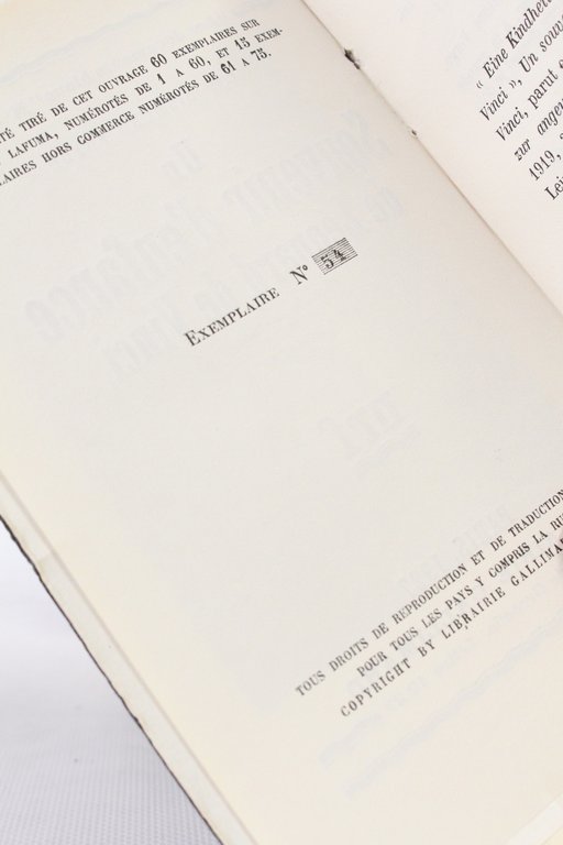 Un souvenir d'enfance de Léonard de Vinci