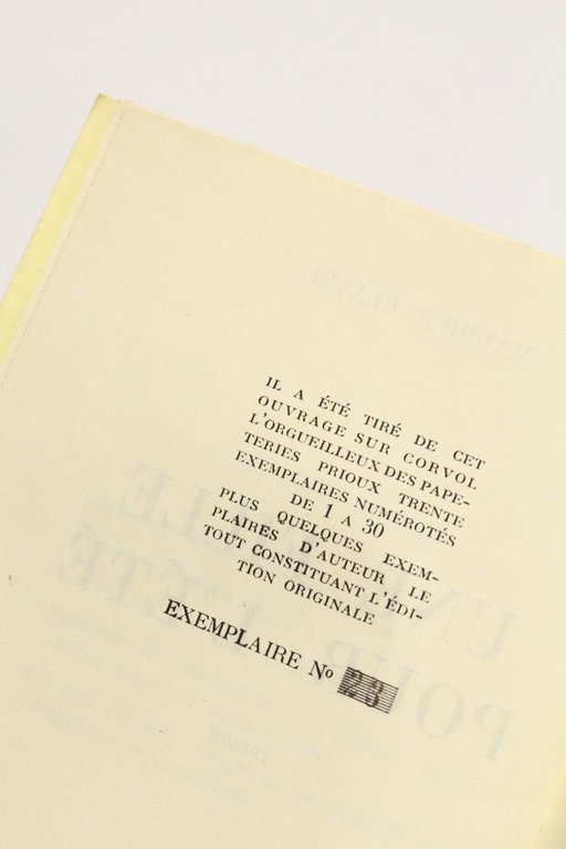 Une fille pour l'été