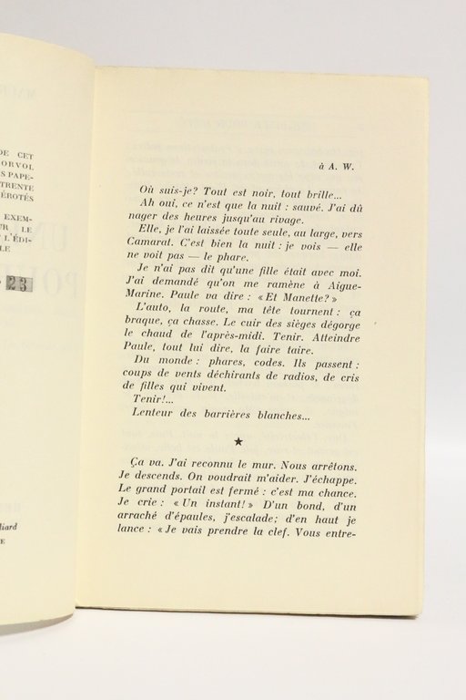 Une fille pour l'été