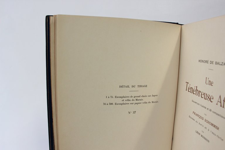 Une ténébreuse affaire