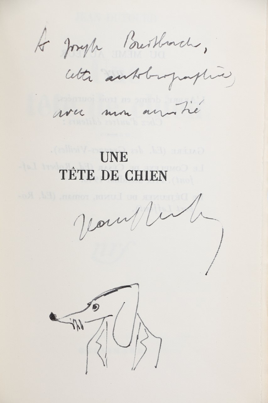 Une tête de chien