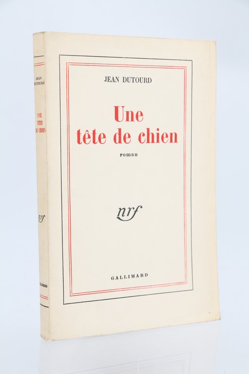 Une tête de chien