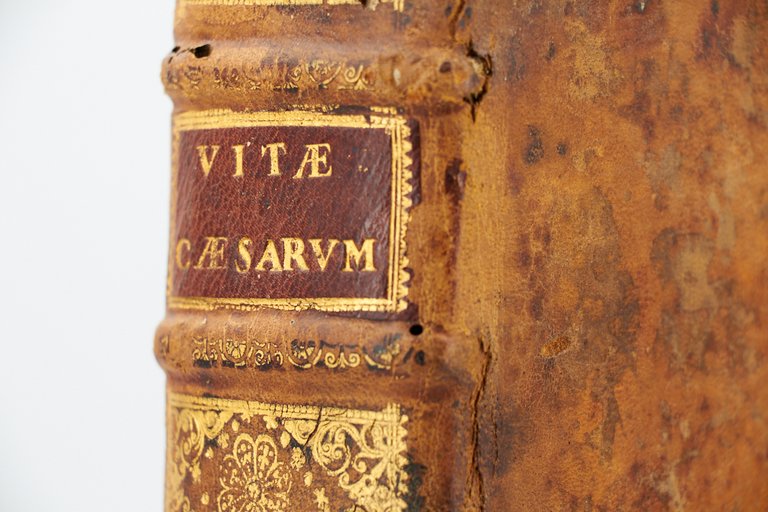 Vitae caesarum quarum scriptores hi Suetonius Tranquillus, Dion Cassius, Aelius …