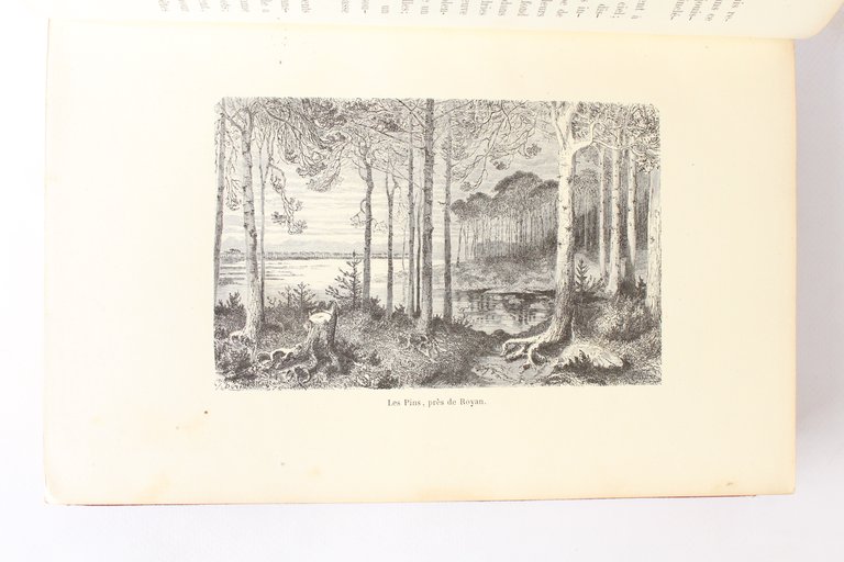 Voyage aux Pyrénées