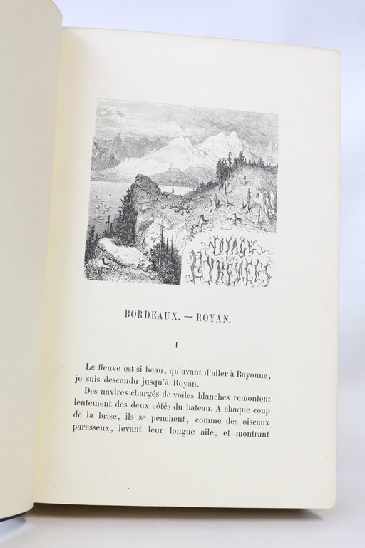 Voyage aux Pyrénées