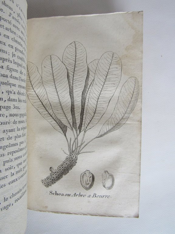 Voyage dans l'intérieur de l'Afrique fait en 1795, 1796 et …