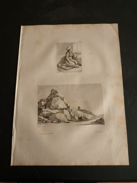 Voyage dans la Basse et Haute Egypte : 1. Femme …