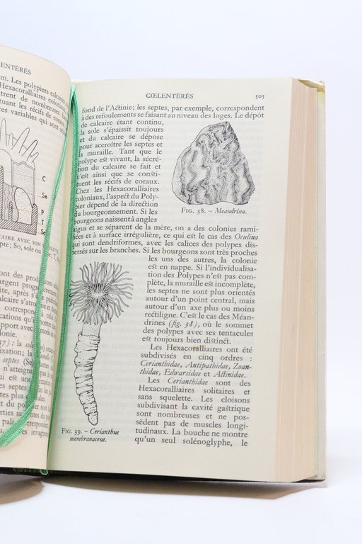 Zoologie Tomes I & II