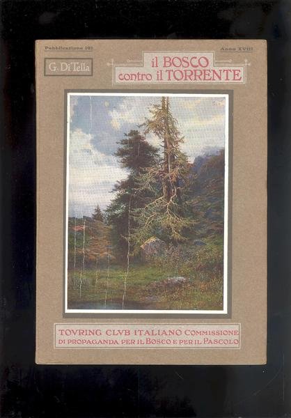 IL BOSCO CONTRO IL TORRENTE