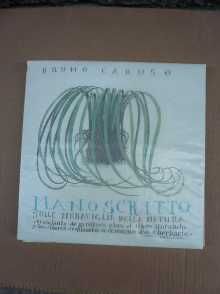 MANOSCRITTO SULLE MERAVIGLIE DELLA NATURA.DISEGNI E CONSIDERAZIONI SUL MONDO VISIBILE.