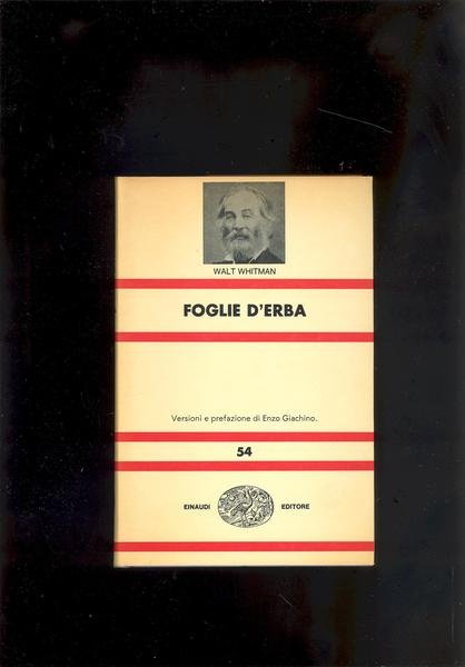 FOGLIE D'ERBA