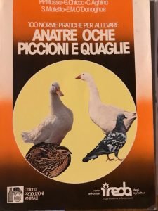 100 NORME PRATICHE PER ALLEVARE ANATRE OCHE PICCIONI E QUAGLIE