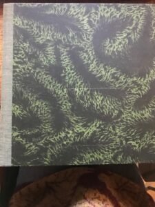 IL FIGLIO DEL FABBRO. IL TRICOLORE D’ITALIA. 20 FASCICOLI RILEGATI | Immagine Gallery 1