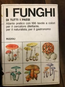 I FUNGHI DI TUTTI I PAESI