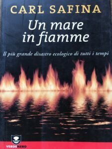 UN MARE IN FIAMME. IL PIU’ GRANDE DISASTRO ECOLOGICO DI …