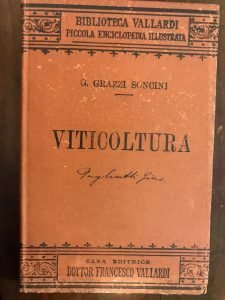 VITICOLTURA