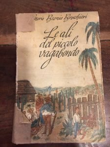 LE ALI DEL PICCOLO VAGABONDO