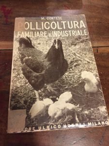 POLLICOLTURA FAMILIARE E INDUSTRIALE