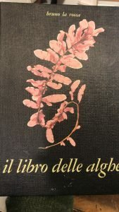 IL LIBRO DELLE ALGHE