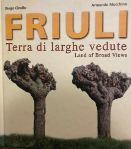 FRIULI TERRA DI LARGHE VEDUTE. LAND OF BROAD VIEWS