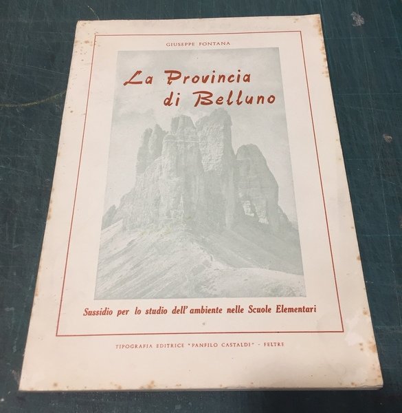 LA PROVINCIA DI BELLUNO